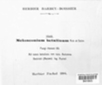 Melanconium betulinum image
